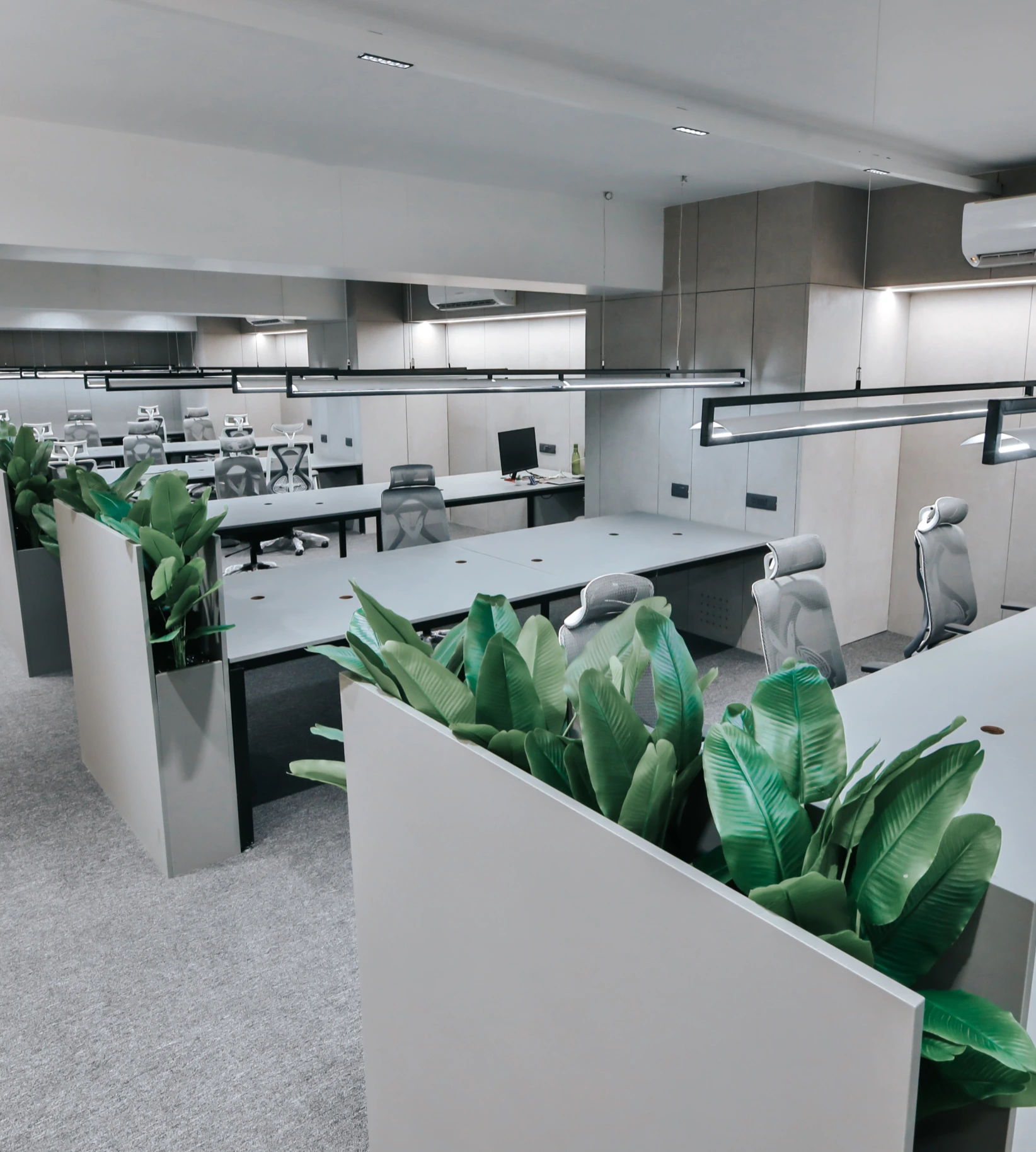 Open Office
